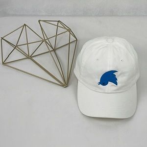 Twitter Hat